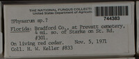 Image Associated With the Occurence